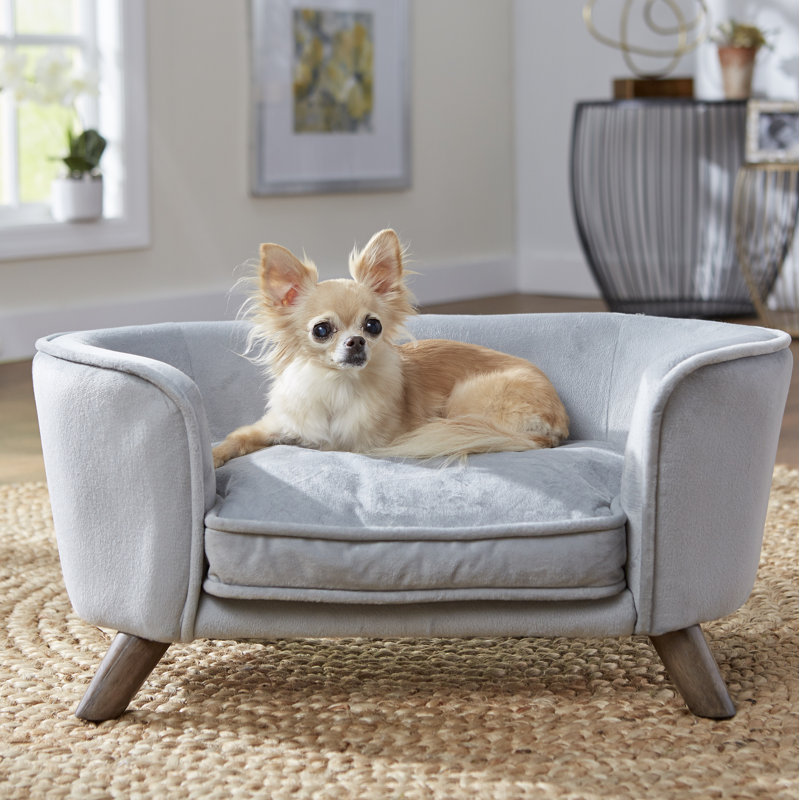 Gray dog sofa discount